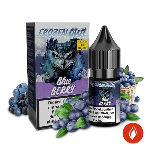 Frozen Owl Blueberry 10mg Nikotinsalz Liquid