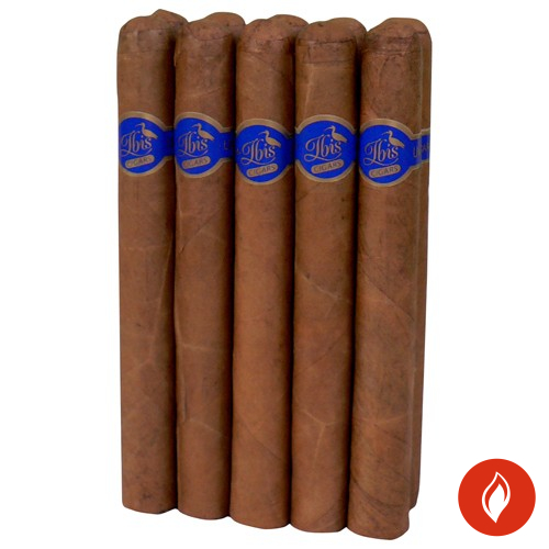 Ibis Corona Nicaragua Zigarren 10er Bundle