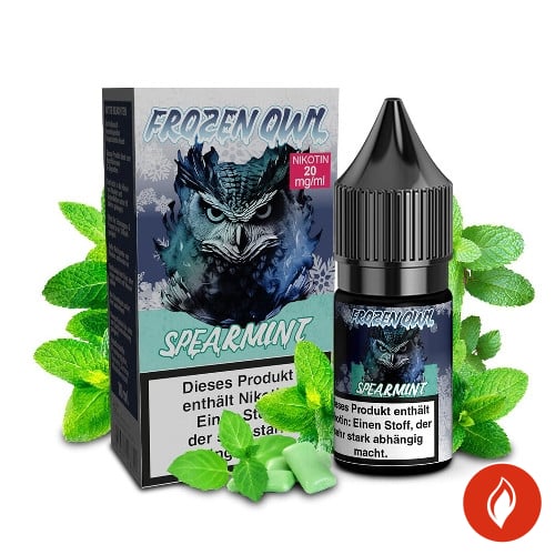 Frozen Owl Spearmint 20mg Nikotinsalz Liquid