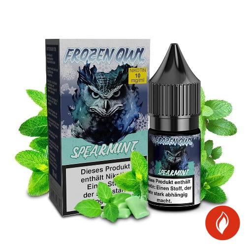 Frozen Owl Spearmint 10mg Nikotinsalz Liquid