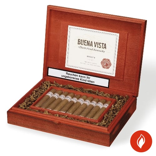 Buena Vista Dark Fired Kentucky Robusto Zigarren Kiste