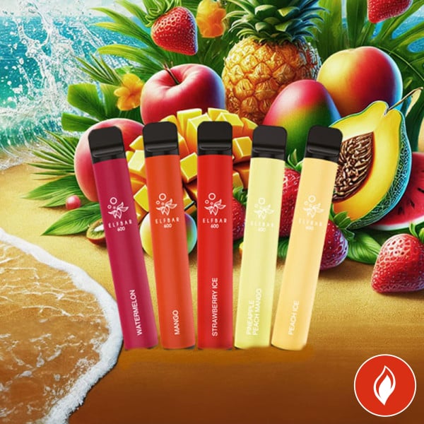 Elfbar Summer Fruit Splash Bundle