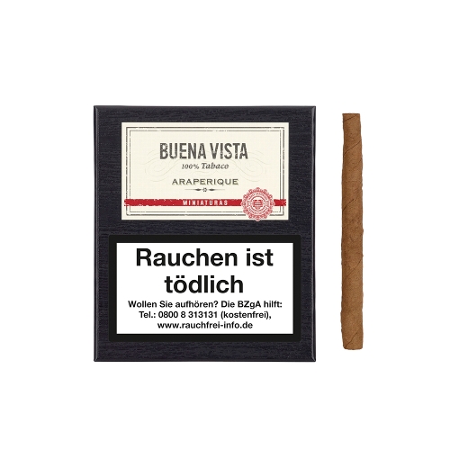 Buena Vista Miniaturas