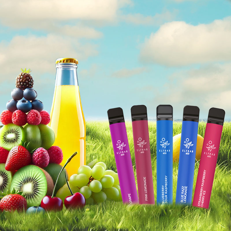 Elf Bar Berrylicious Mix Probier-Set