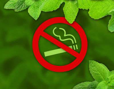 Menthol-Liquids und Pods bei Zedaco Jetzt Vorrat sichern Menthol-Liquids und Pods bei Zedaco Jetzt Vorrat sichern