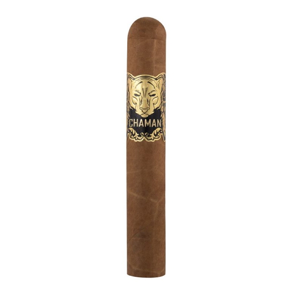 Vegas de Santiago Chaman Robusto Zigarre