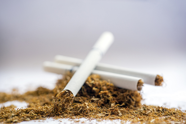 Marlboro Gold Zigaretten-Tabak Dose - Tabac-Trends