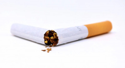 Eine Reihenfolge unserer qualitativsten Tabak sticks