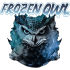 Frozen Owl